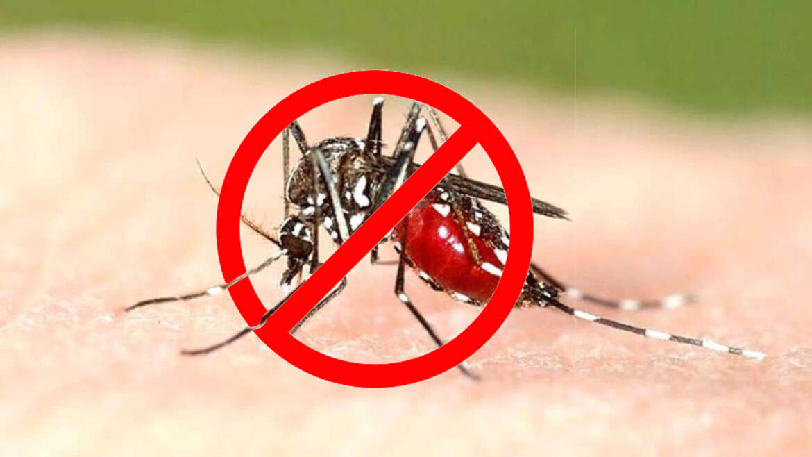 Dengue Fever – Natural Cure