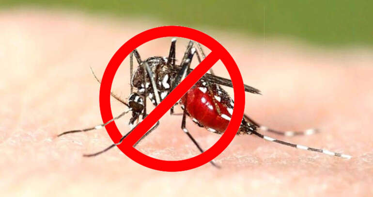 Dengue Fever – How to naturally cure it?